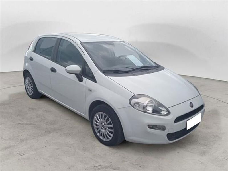 Fiat Punto 1.2 8V 5 porte Street  del 2015 usata a Palestrina