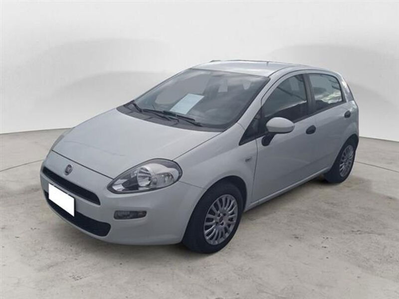 Fiat Punto 1.2 8V 5 porte Street  del 2015 usata a Palestrina