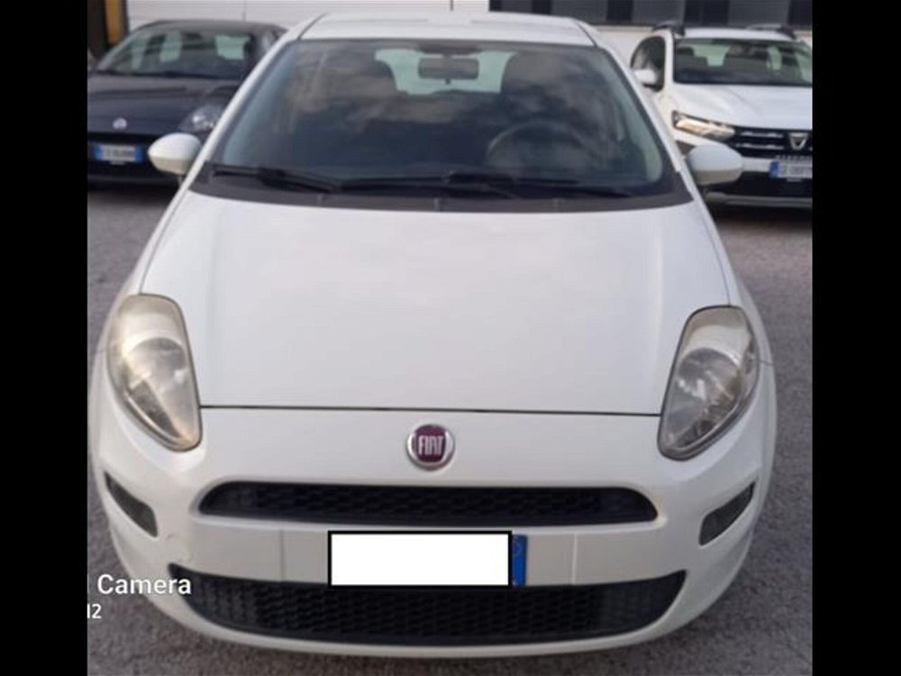 Fiat Punto 1.2 8V 5 porte Street  del 2015 usata a Palestrina (3)