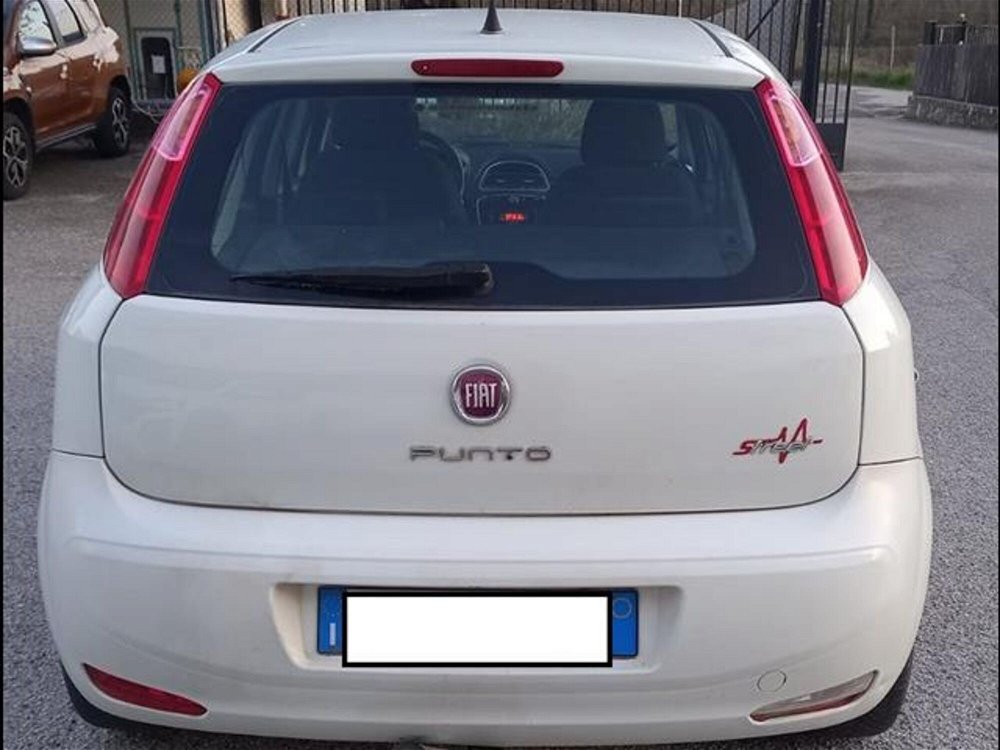 Fiat Punto 1.2 8V 5 porte Street  del 2015 usata a Palestrina (4)
