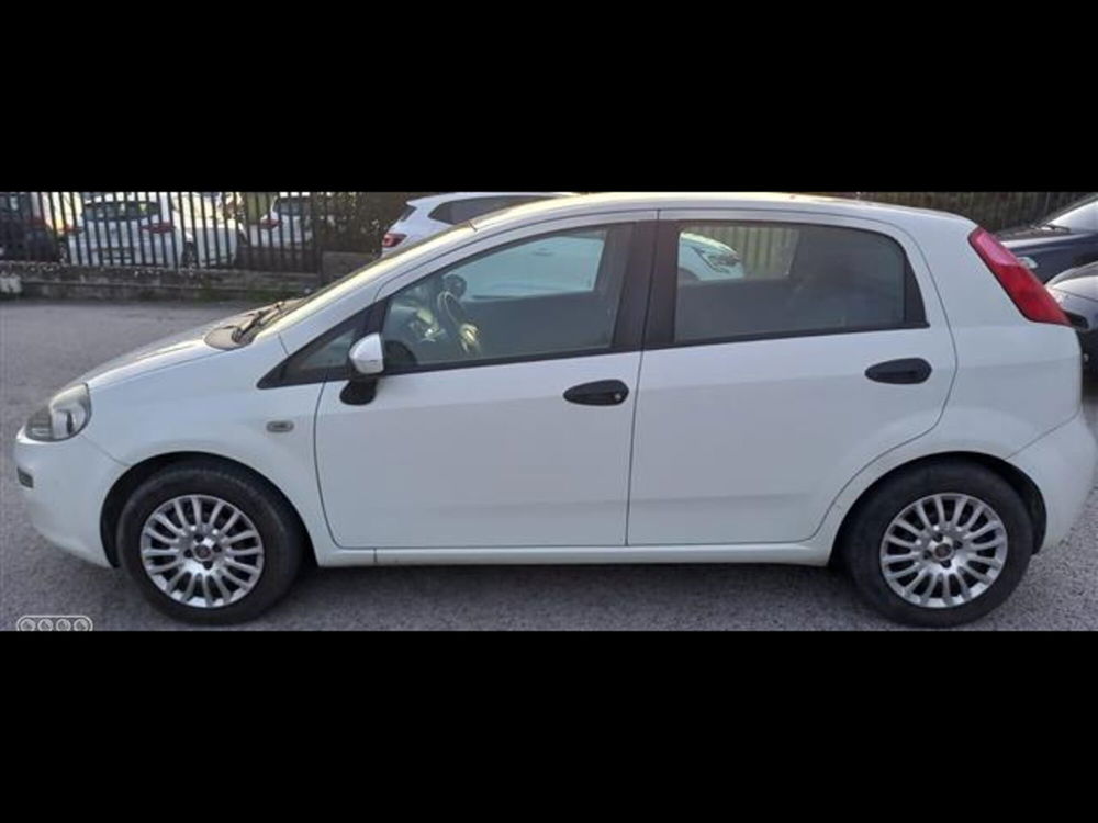 Fiat Punto 1.2 8V 5 porte Street  del 2015 usata a Palestrina (5)