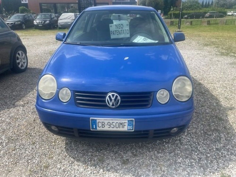 Volkswagen Polo usata a Prato (2)