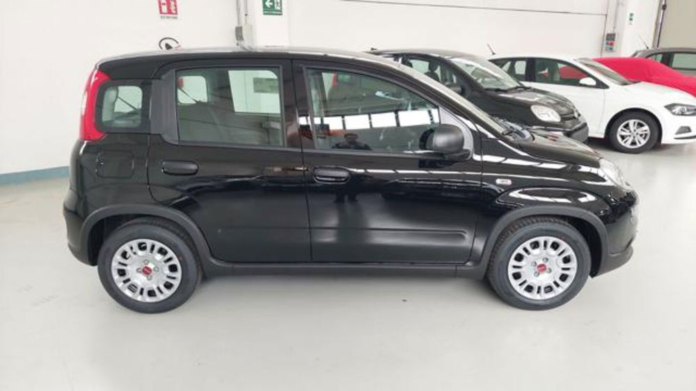 Fiat Panda nuova a Brescia (8)