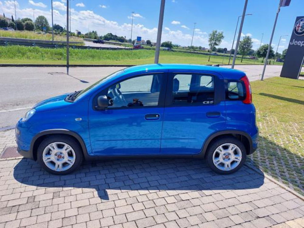 Fiat Panda nuova a Padova (2)