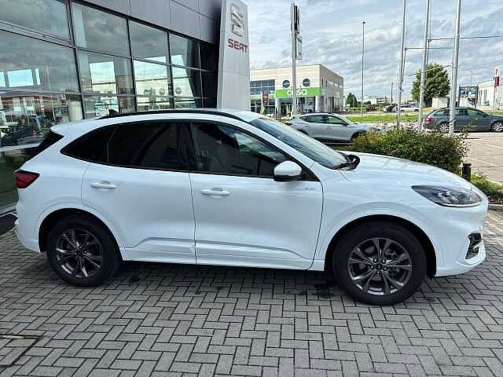 Ford Kuga usata a Verona (2)