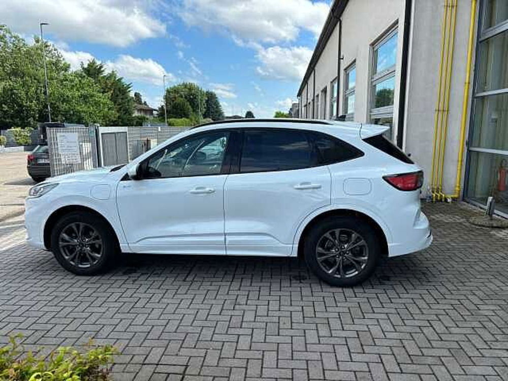 Ford Kuga usata a Verona (3)