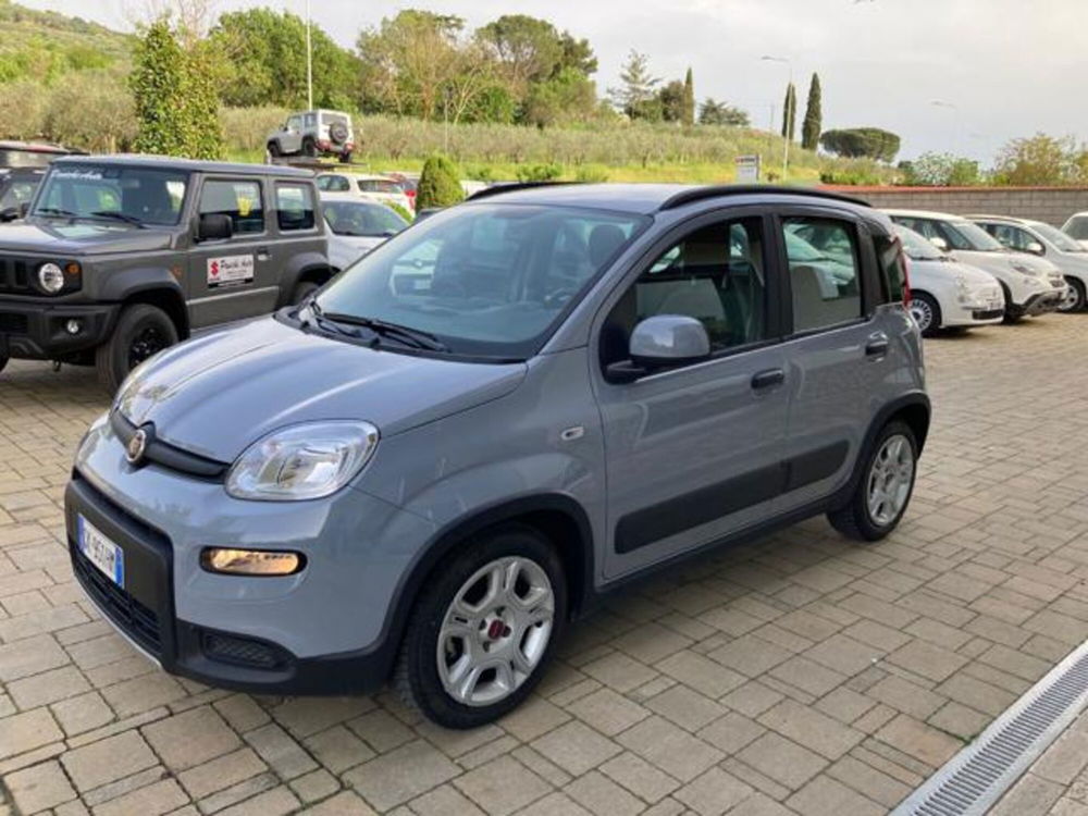 Fiat Panda usata a Arezzo