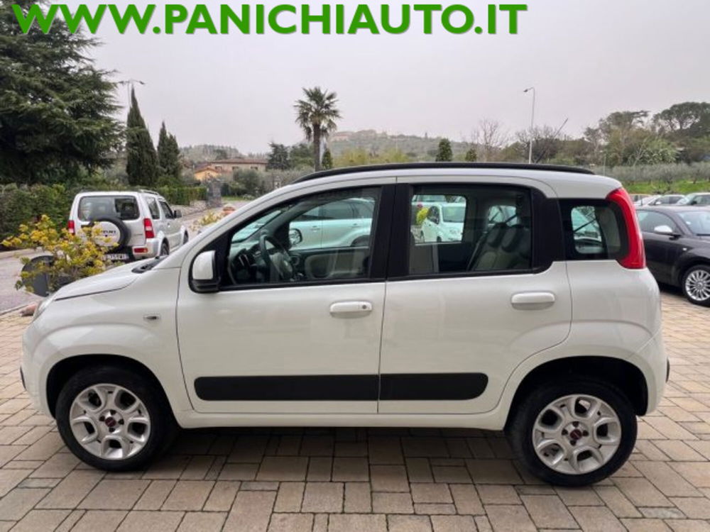 Fiat Panda usata a Arezzo