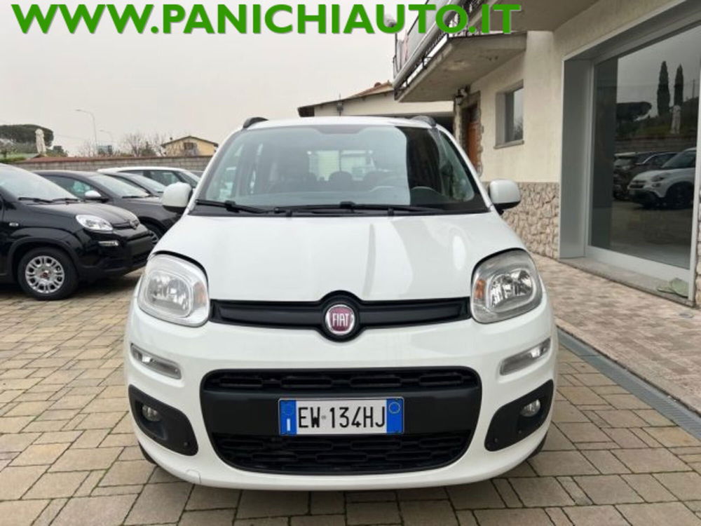 Fiat Panda usata a Arezzo (2)