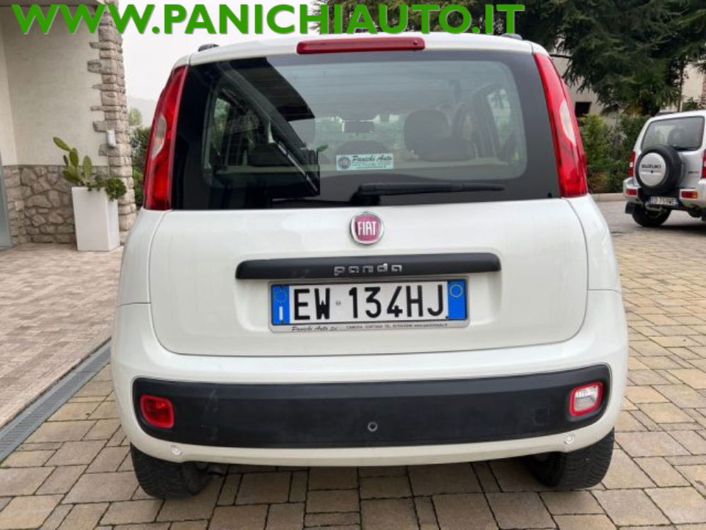 Fiat Panda usata a Arezzo (3)