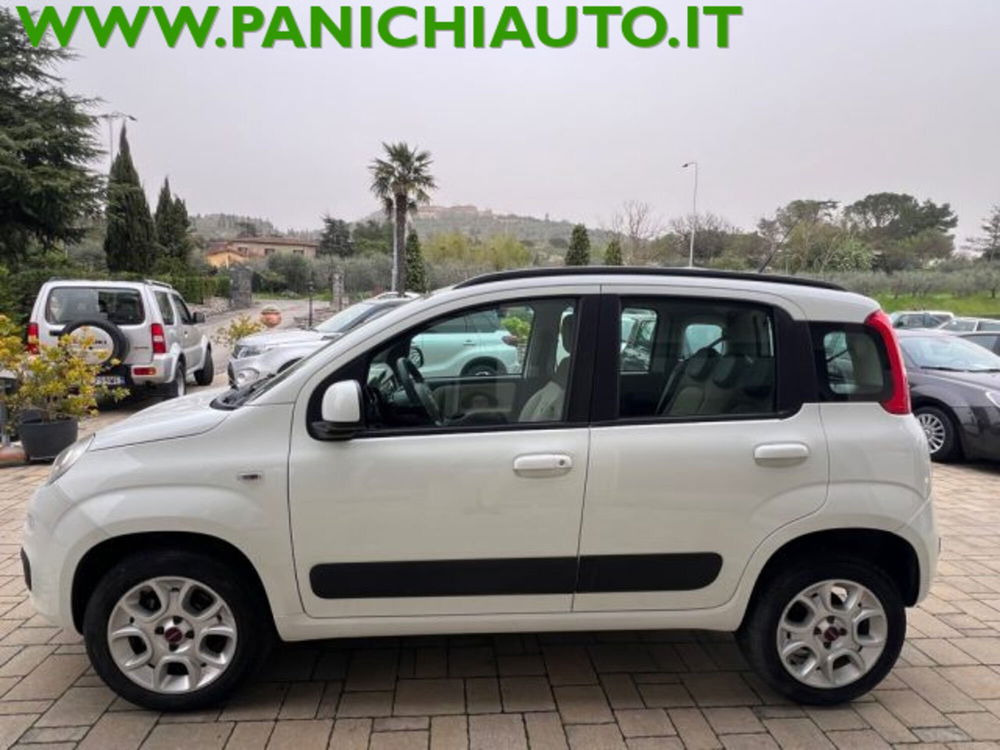 Fiat Panda usata a Arezzo (4)