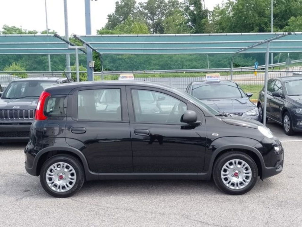 Fiat Panda nuova a Brescia (4)