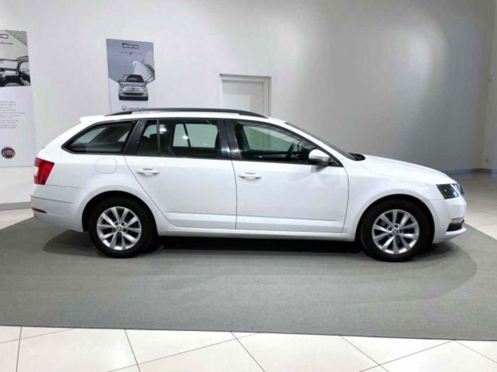 Skoda Octavia Station Wagon usata a Sondrio (6)