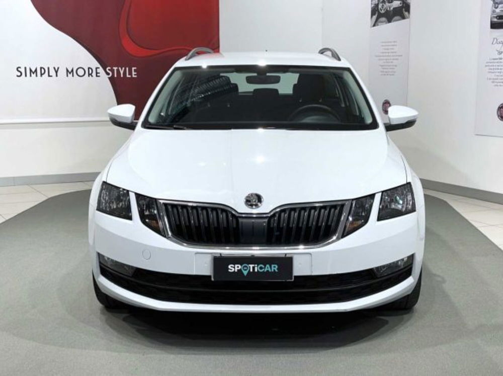 Skoda Octavia Station Wagon usata a Sondrio (8)