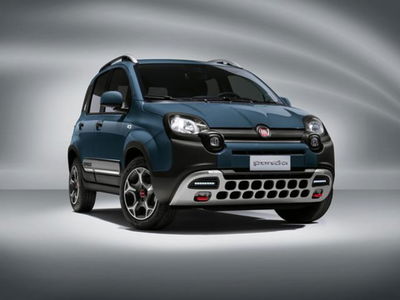 Fiat Panda Cross 1.0 firefly hybrid Cross s&amp;s 70cv 5p.ti del 2023 usata a Sanguinetto