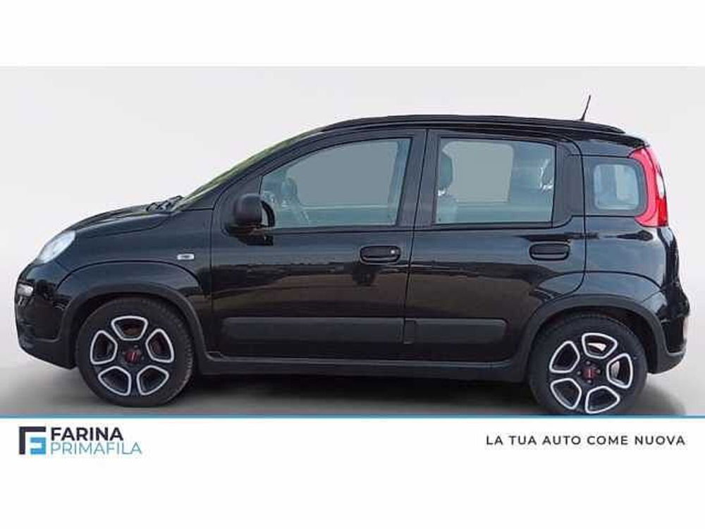 Fiat Panda usata a Napoli (2)