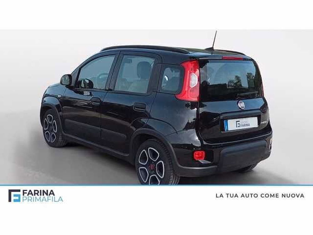 Fiat Panda usata a Napoli (3)