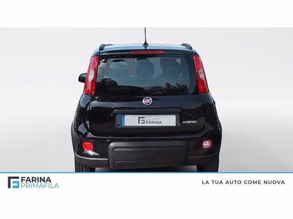 Fiat Panda usata a Napoli (4)