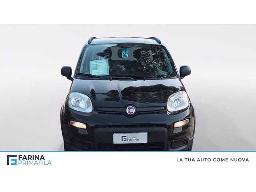 Fiat Panda usata a Napoli (8)