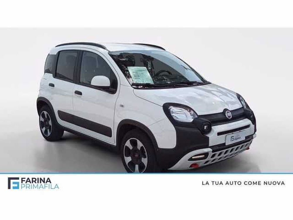 Fiat Panda Cross usata a Napoli (7)