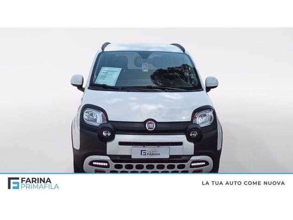 Fiat Panda Cross usata a Napoli (8)