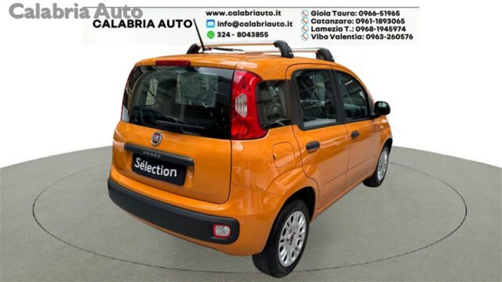 Fiat Panda 1.2 Easy  del 2020 usata a Gioia Tauro (4)