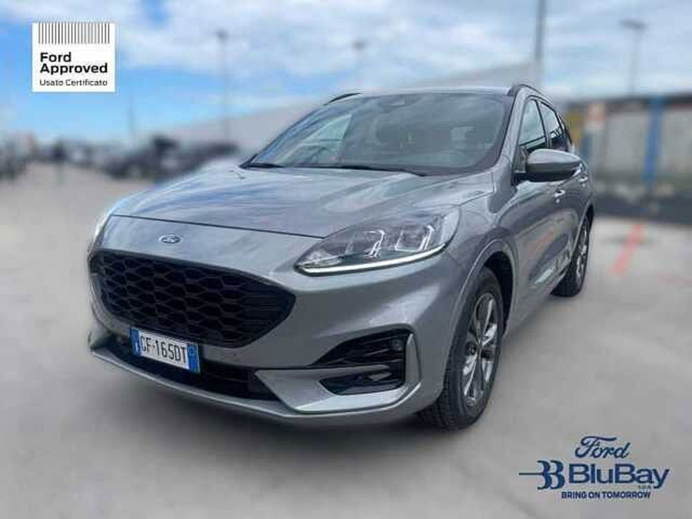 Ford Kuga usata a Livorno