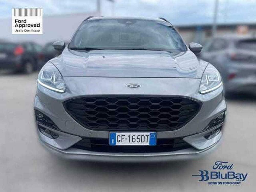 Ford Kuga usata a Livorno (2)