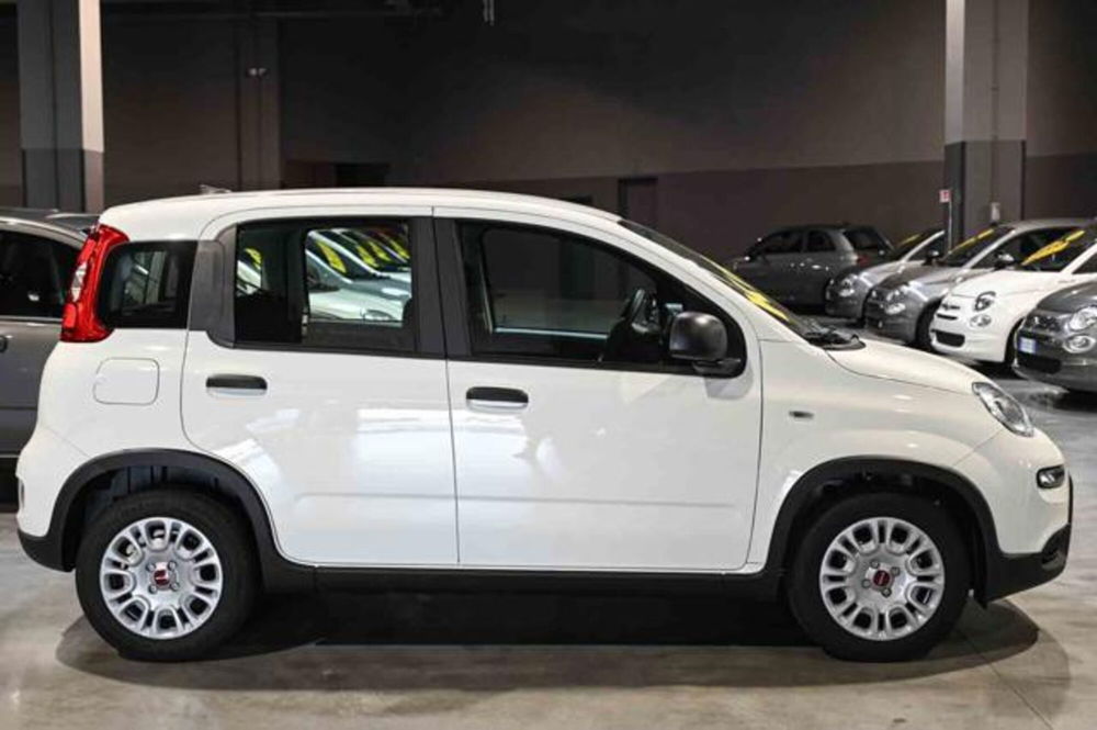 Fiat Panda nuova a Torino (3)