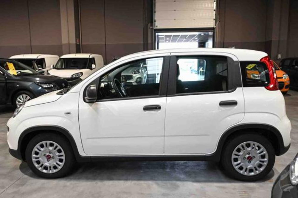 Fiat Panda nuova a Torino (6)