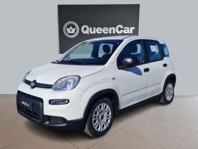 Fiat Panda 1.0 firefly hybrid s&amp;s 70cv 5p.ti nuova a Pianezza