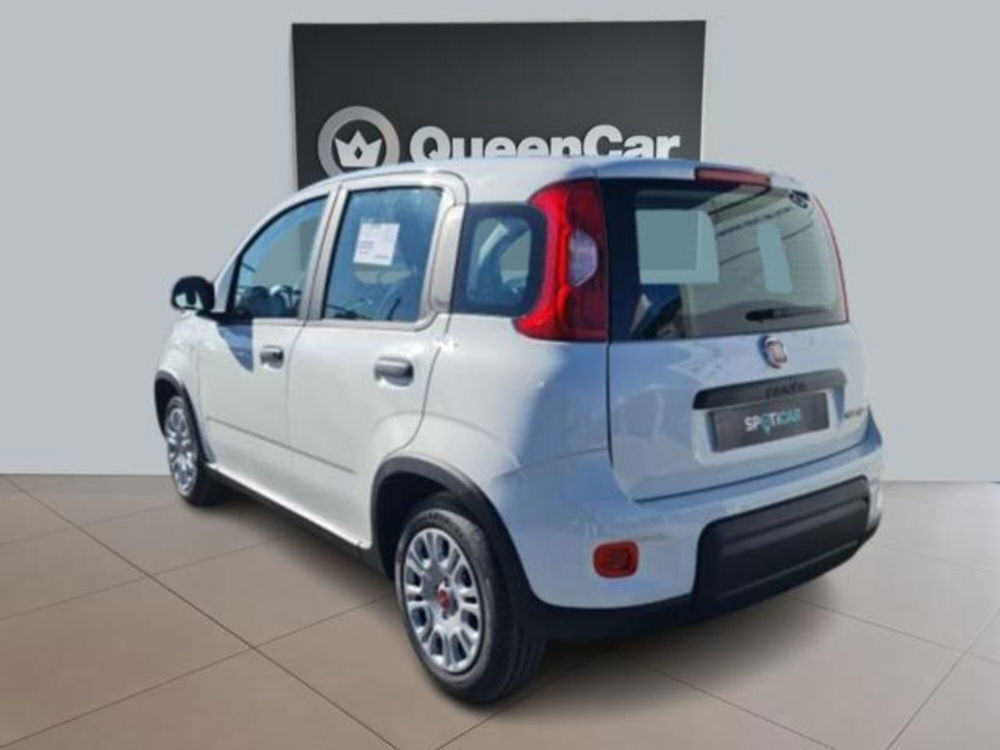 Fiat Panda nuova a Torino (17)