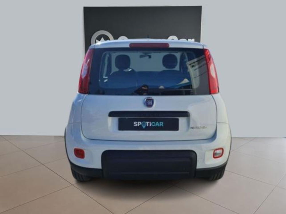 Fiat Panda nuova a Torino (18)