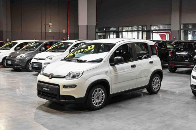 Fiat Panda 1.0 firefly hybrid s&s 70cv 5p.ti nuova a Pianezza