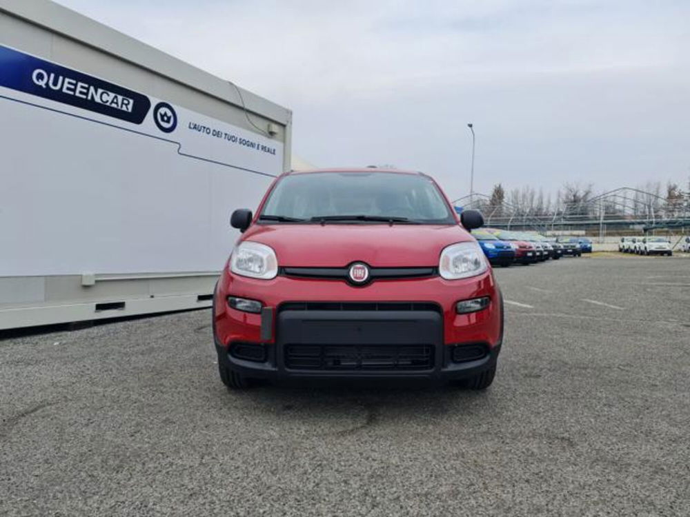 Fiat Panda nuova a Torino (2)