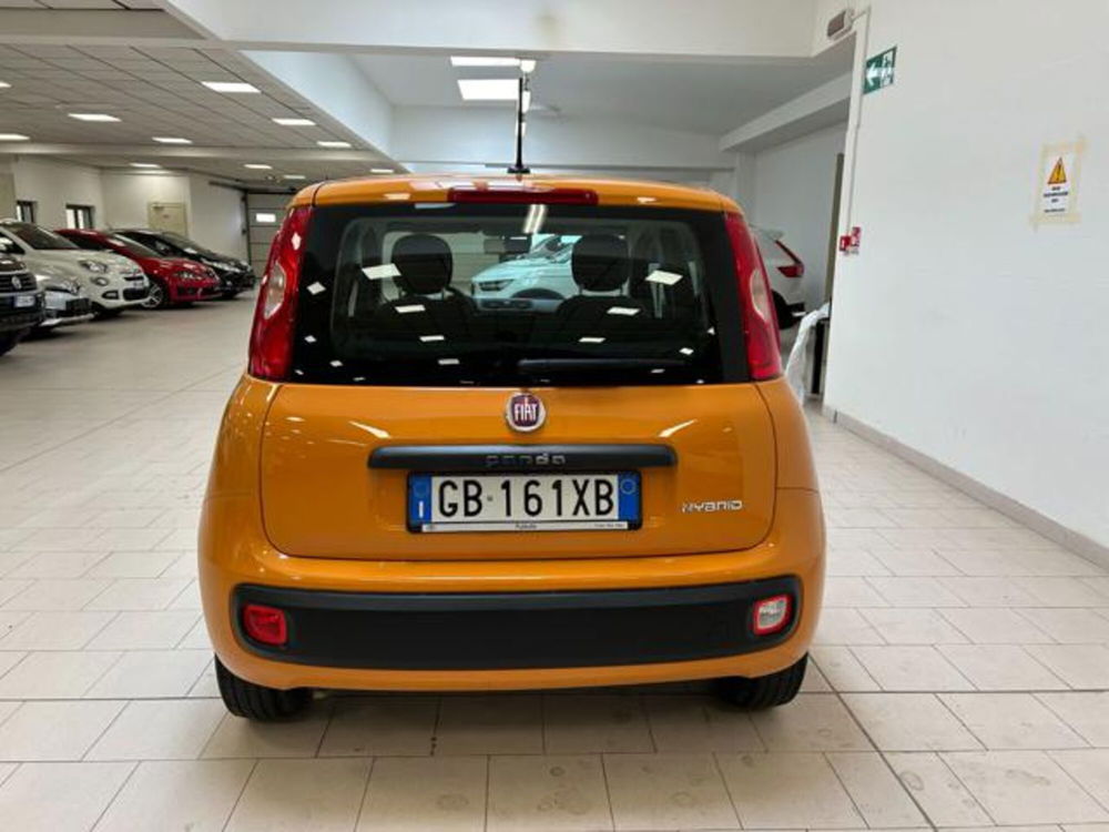 Fiat Panda usata a Cuneo (5)