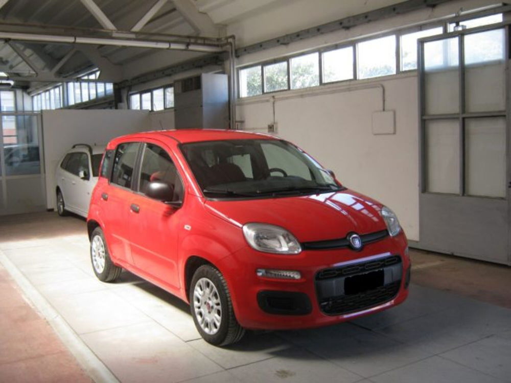 Fiat Panda usata a Ascoli Piceno