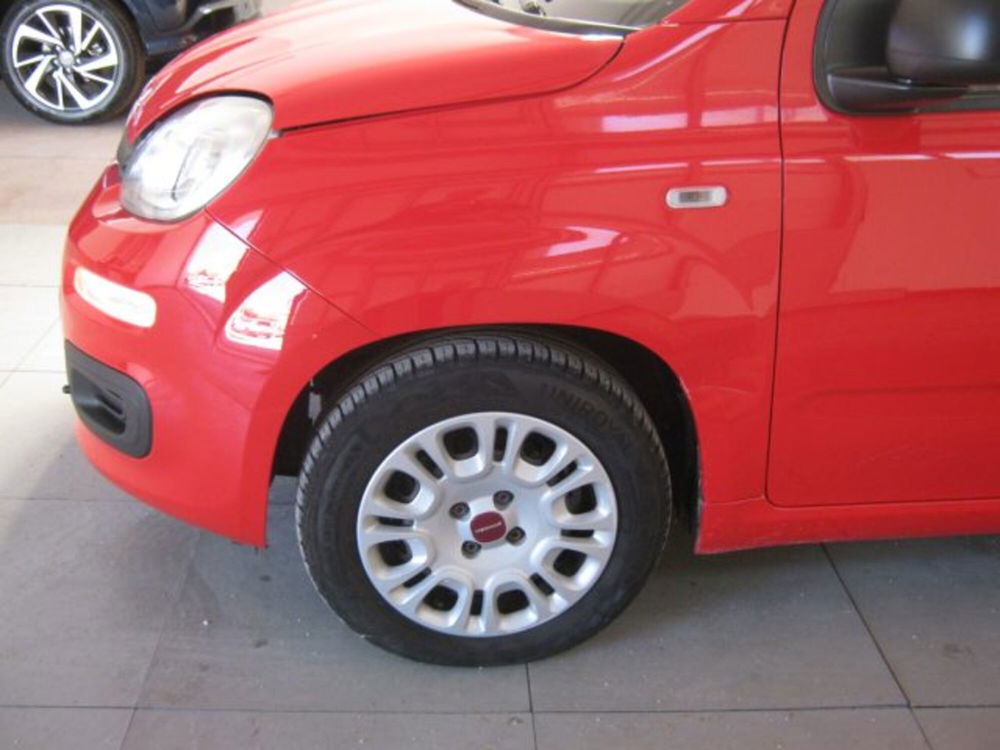 Fiat Panda usata a Ascoli Piceno (12)