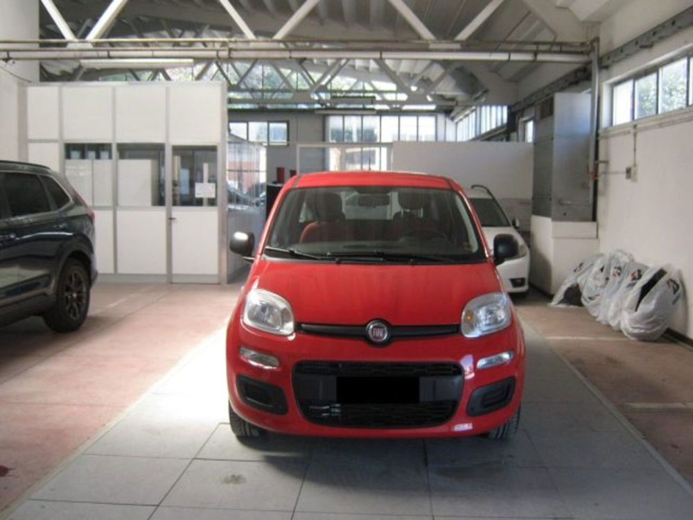 Fiat Panda usata a Ascoli Piceno (2)