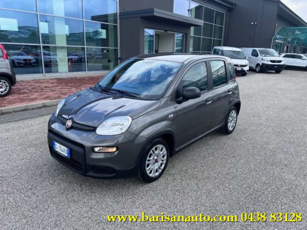 Fiat Panda usata a Treviso