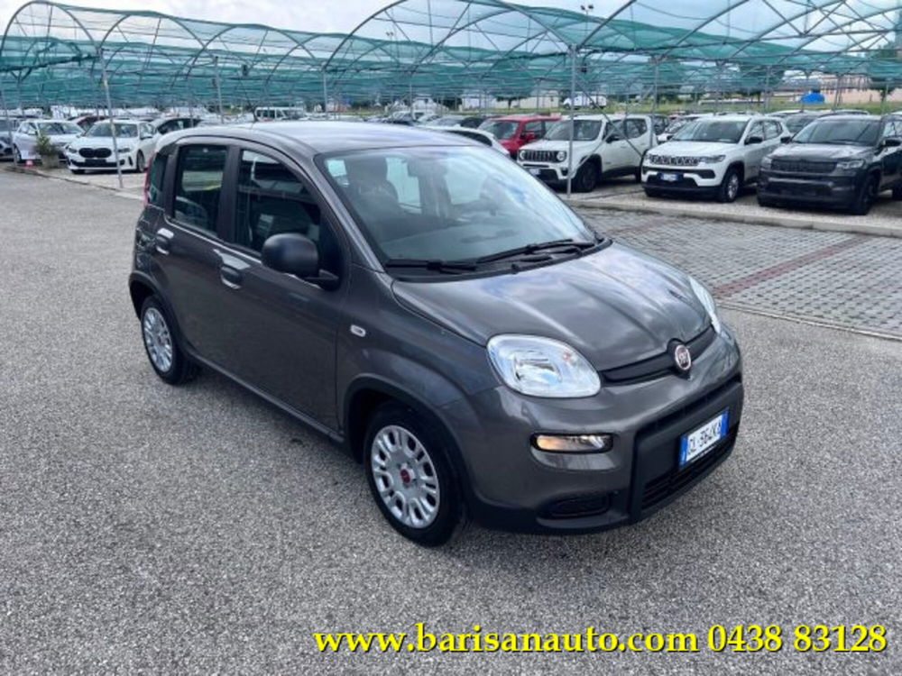 Fiat Panda usata a Treviso (2)