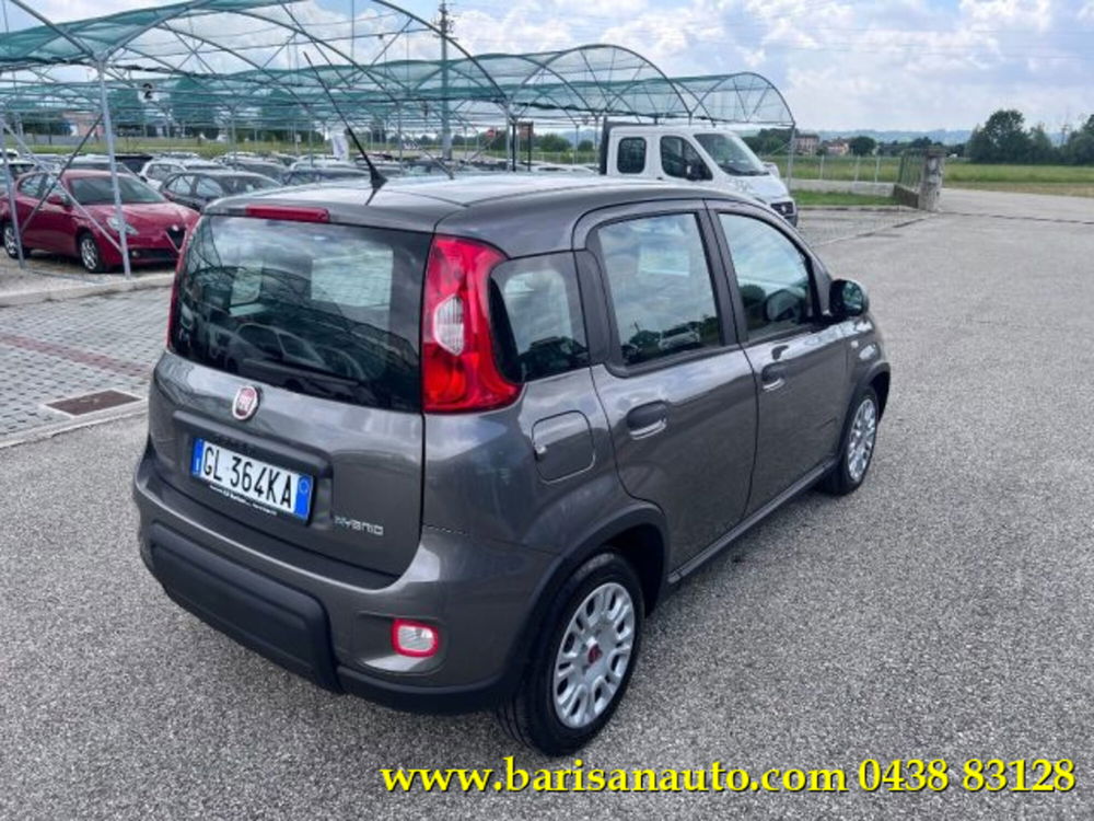 Fiat Panda usata a Treviso (3)