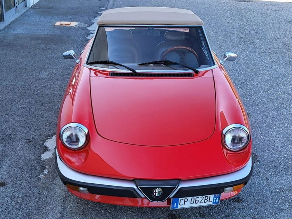 Alfa Romeo Spider usata a Foggia (10)