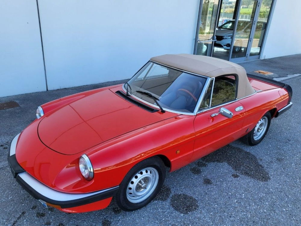 Alfa Romeo Spider usata a Foggia (11)