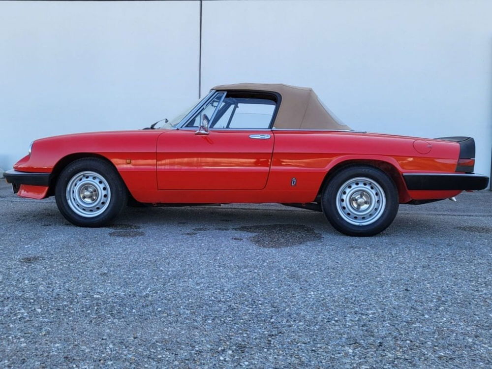 Alfa Romeo Spider usata a Foggia (3)