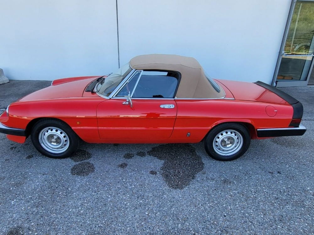 Alfa Romeo Spider usata a Foggia (4)