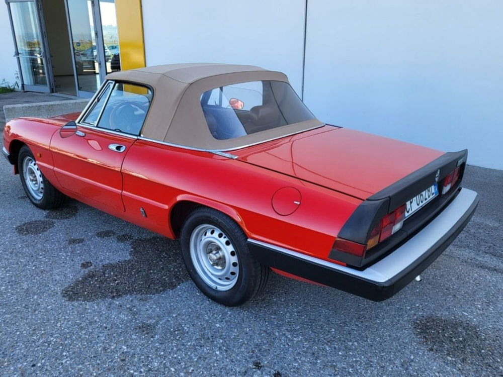 Alfa Romeo Spider usata a Foggia (5)