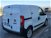 Fiat Fiorino 1.3 MJT 80CV Cargo SX del 2016 usata a Foggia (7)