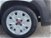 Fiat Panda 1.3 MJT 4x4 Pop Van 2 posti del 2016 usata a Foggia (8)