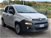 Fiat Panda 1.3 MJT 4x4 Pop Van 2 posti del 2016 usata a Foggia (6)